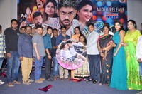 Manasainodu Movie Audio Launch